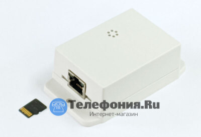 ICON MR1NS Сетевой аудиорегистратор записи с микрофоном